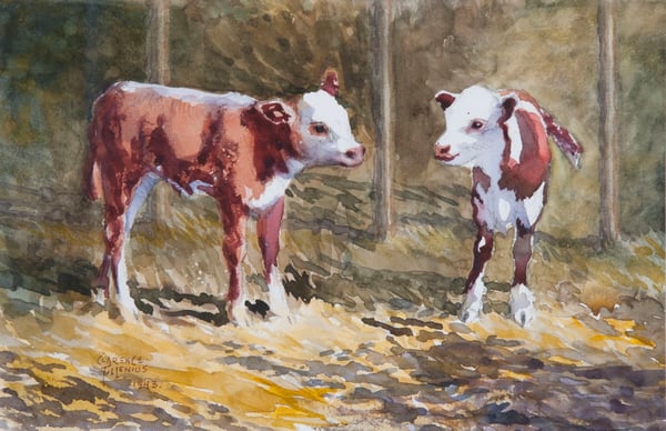 Calves