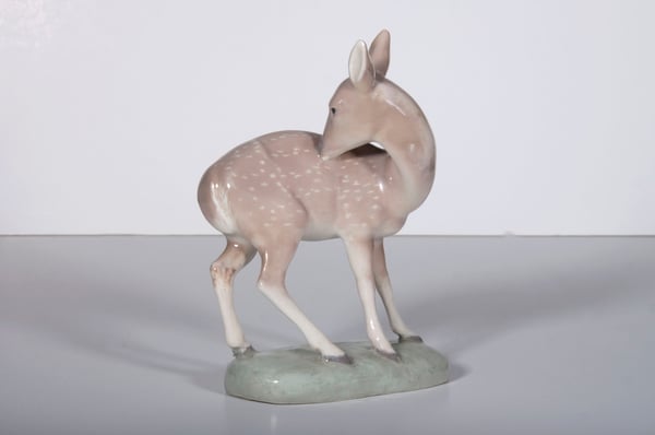 Deer