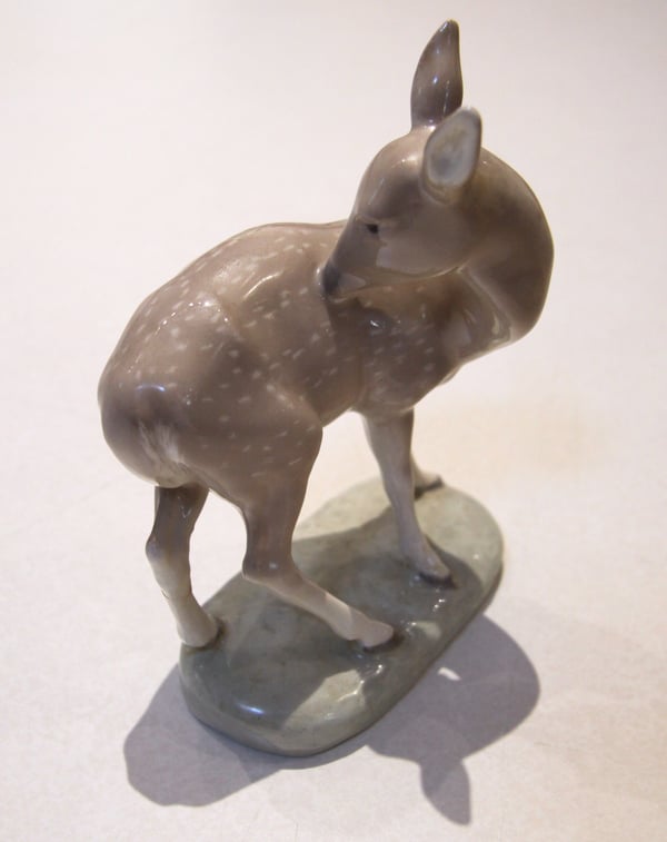 Deer