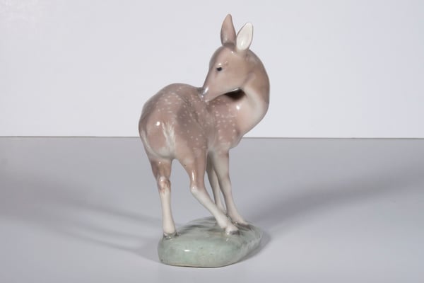 Deer