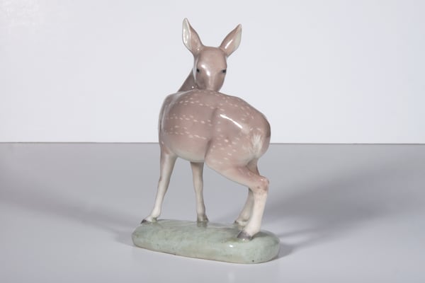Deer