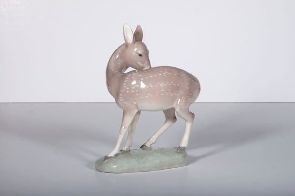 Deer