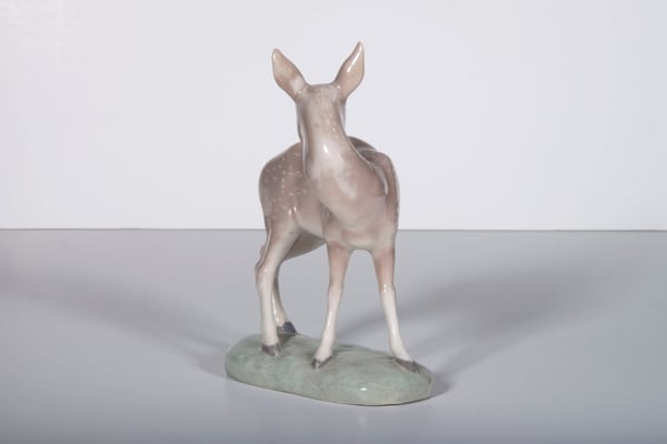 Deer