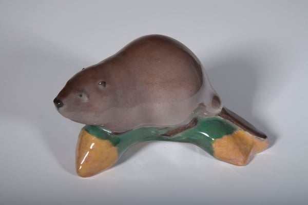 Beaver