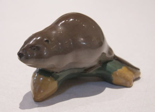 Beaver