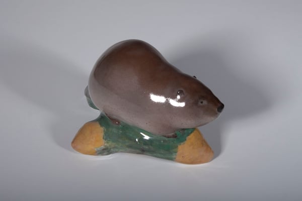 Beaver