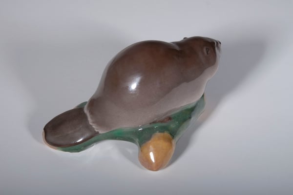 Beaver