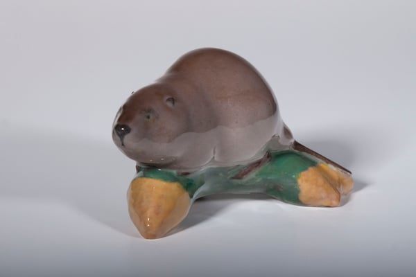 Beaver