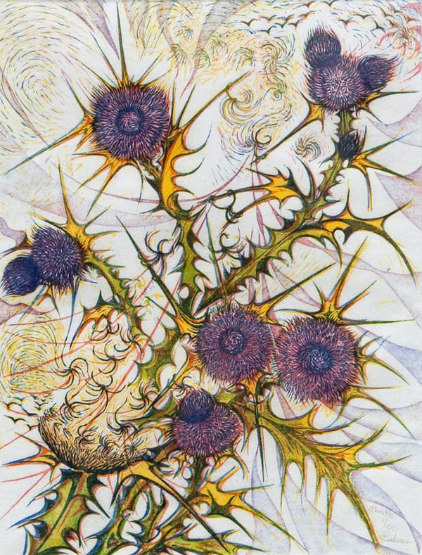 Thistle