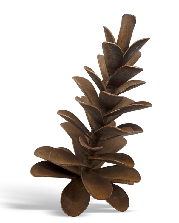 Pine