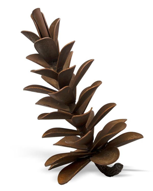 Pine