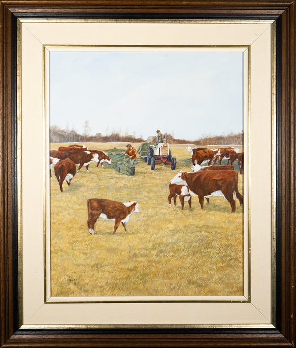 Cattle