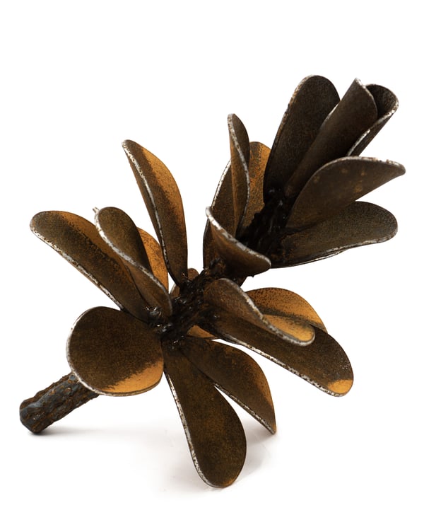 Pinecone